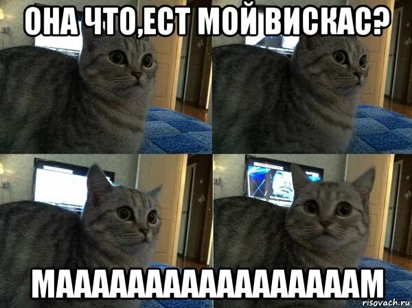 Ешь кусай люби