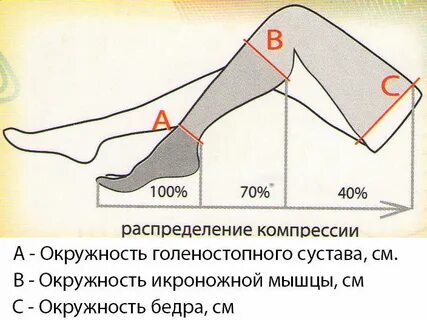 Окружность голеностопного