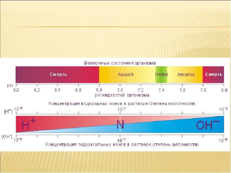 Водородный показатель крови РН составляет. Норма PH крови человека. Кислотность артериальной крови в норме. PH крови 7.2.