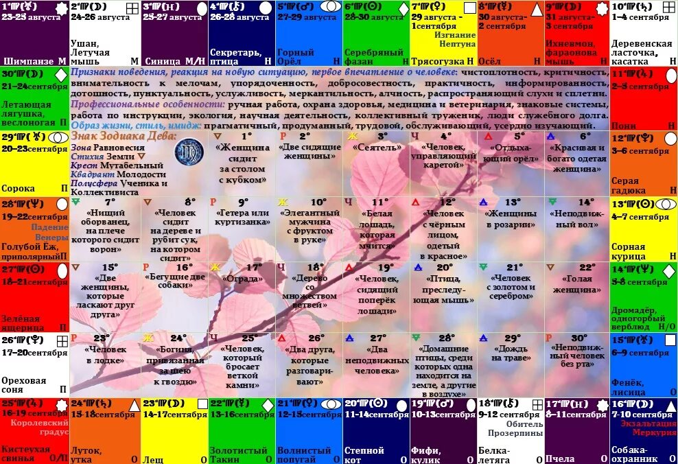 Гороскоп дева апрель глоба. Градусы зодиака. Прогнозирование по градусам зодиака. 14 Сентября гороскоп. Градус Девы.