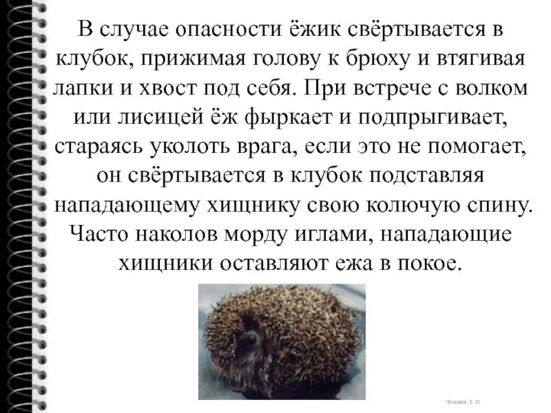 Основная мысль рассказа страшный рассказ. Основная мысль рассказа страшный рассказ. Страшный рассказ чарушин. Главная мысль рассказа страшный рассказ чарушина. Основная мысль рассказа страшный рассказ.