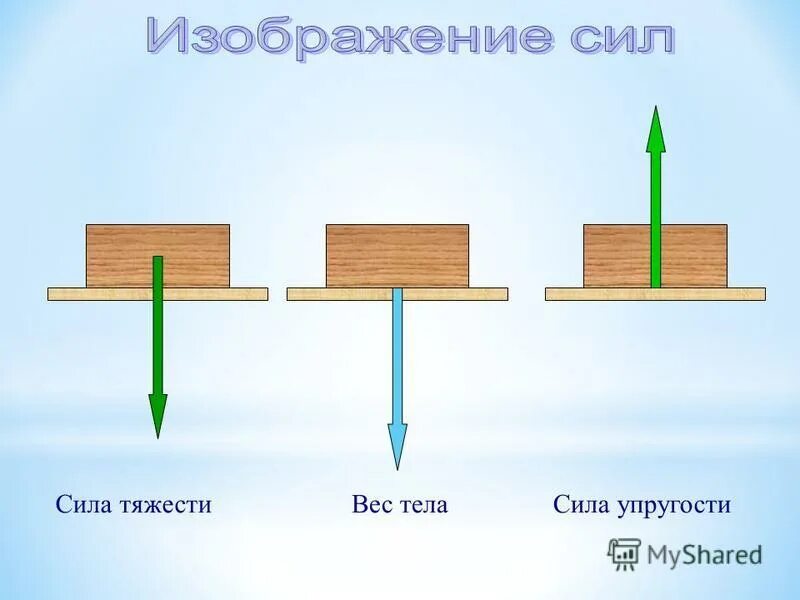 Природа сил масса