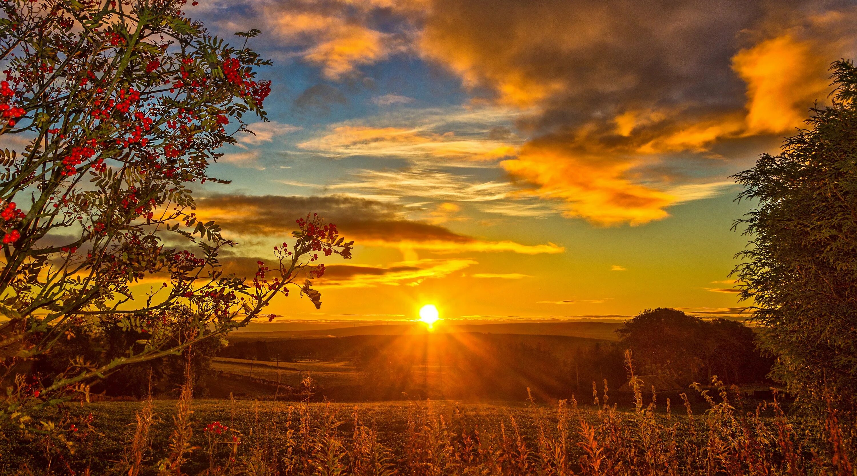 Яркий закат песня. Пурпурный закат. Розовый рассвет. Розовый рассвет. Золотое море.