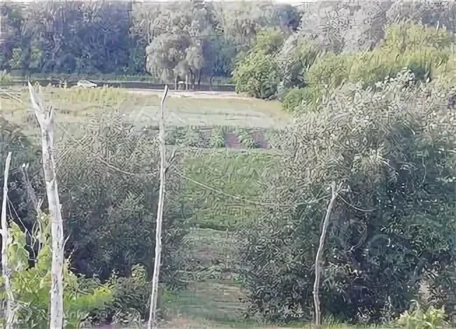 Село старый хопер