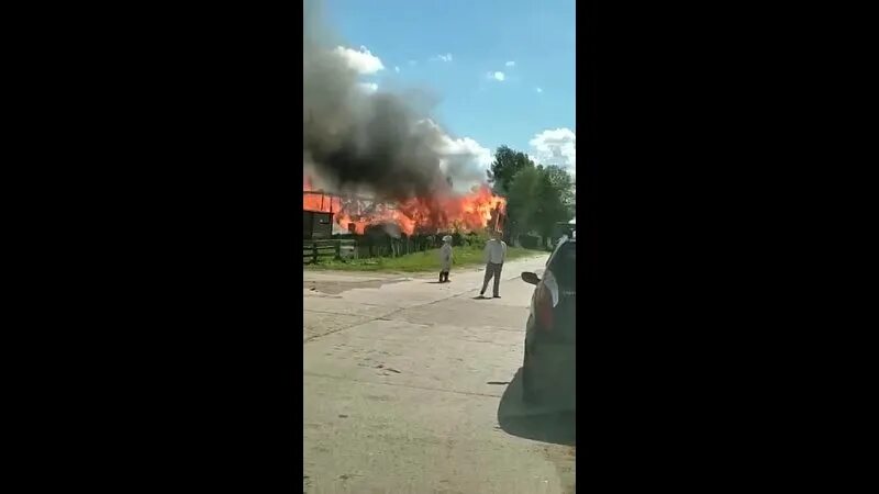 пожар поселок рижский. 2022. пожар в деревне турша. пожар на новорижском шоссе. пожар поселок рижский.