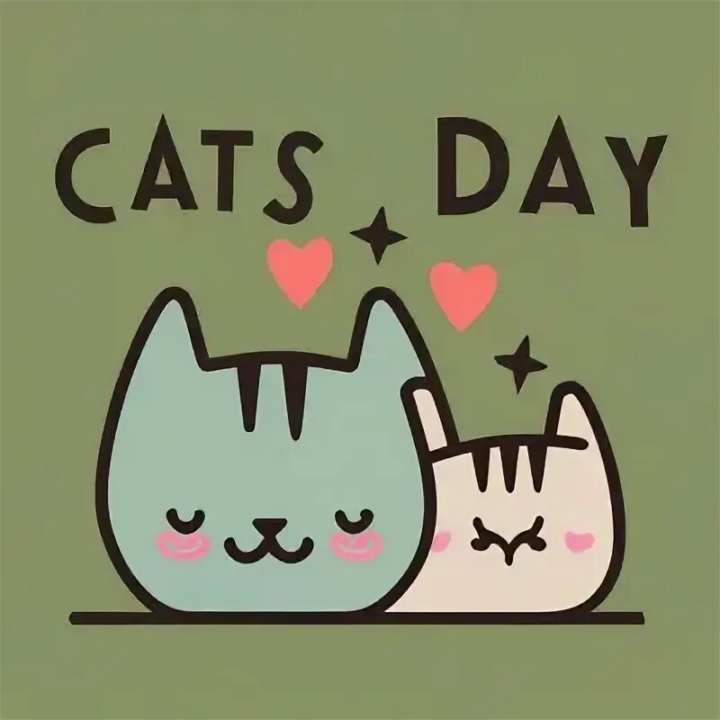 My cat all day. My cat all day