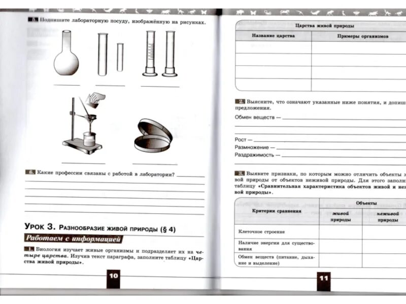 Моя лаборатория 101 страница 5 класс биология. Лабораторное оборудование по биологии. Лабораторное оборудование 5 класс биология. Лабораторное оборудование по биологии 5. Лабораторная посуда и оборудование биология 5 класс.
