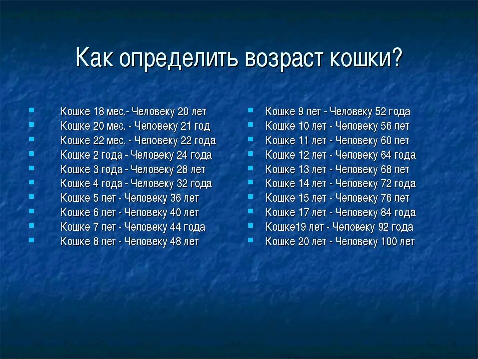 Как определить Возраст кота. Как определить Возраст кошки. Как узнать Возраст кота. Определятор Возраст кошки.