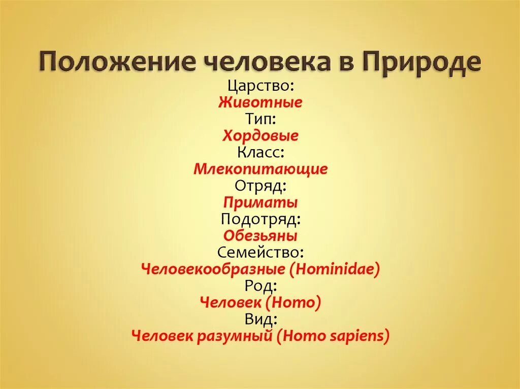 Положение человека в природе. Положение человека в природе анатомия. Положение человека в живой природе. Положение человека в системе природы. Определить систематическое положение человека