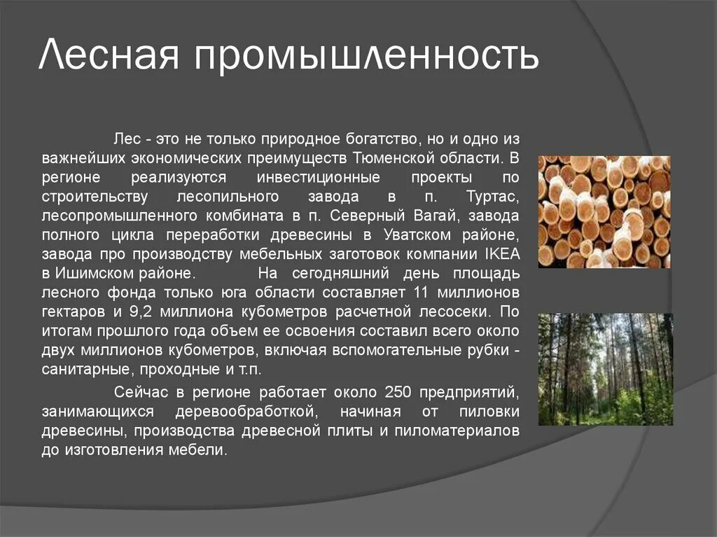 Какие природные богатства в омской области. Лесная промышленность. Отрасли Лесной промышленности. Лесная промышленность доклад. Лесная промышленность презентация.