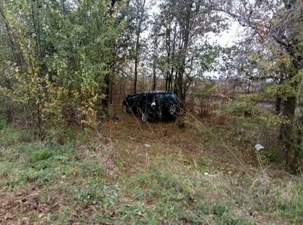 Николаевская область новости сегодня последние