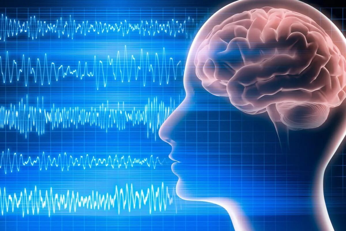 Особенности работы мозга. Электрическая активность мозга. Исследование головного мозга. Электроэнцефалограмма головного мозга.