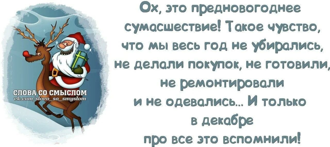 Слова со смыслом про новый год. Анекдоты про новый год. Прикольные статусы перед новым годом. Смешные фразы про новогоднее настроение. Статусы после нового