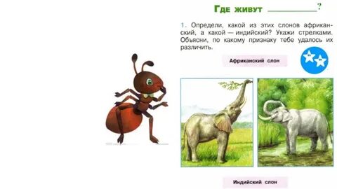 Рабочие листы где живут слоны 1 класс