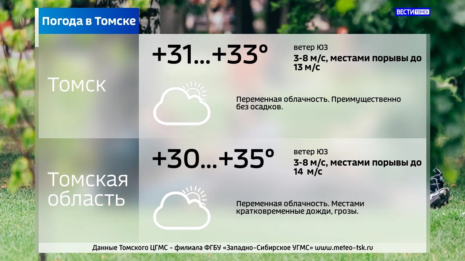 Жара в Томске 2023. Погода на июнь 2023. 25 Градусов жары. Погода 25 градусов.