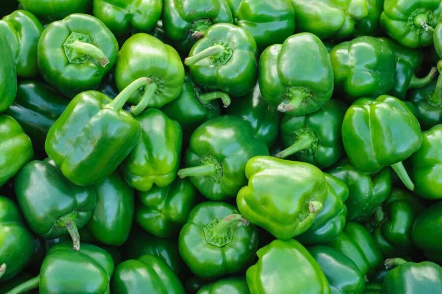 Capsicum