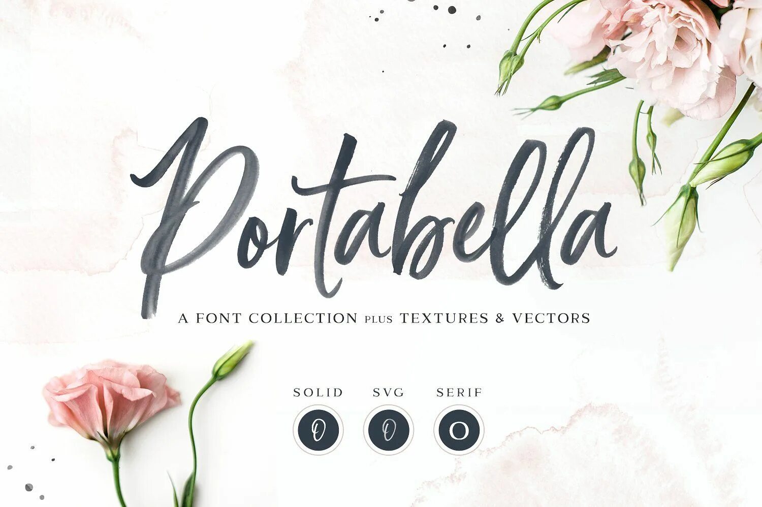 The salazars family. Studio font. Font collection. Font collection. Романтический шрифт.