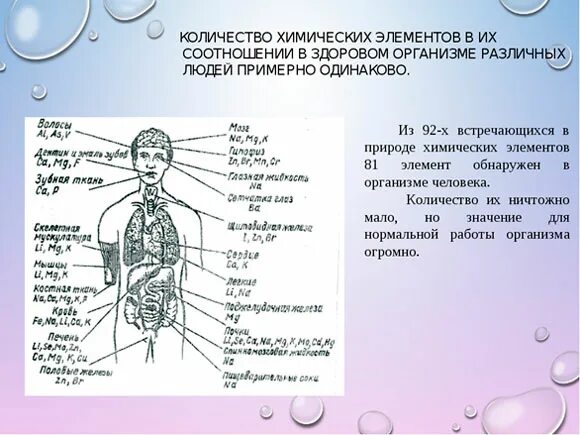 Металлы в организме человека химия