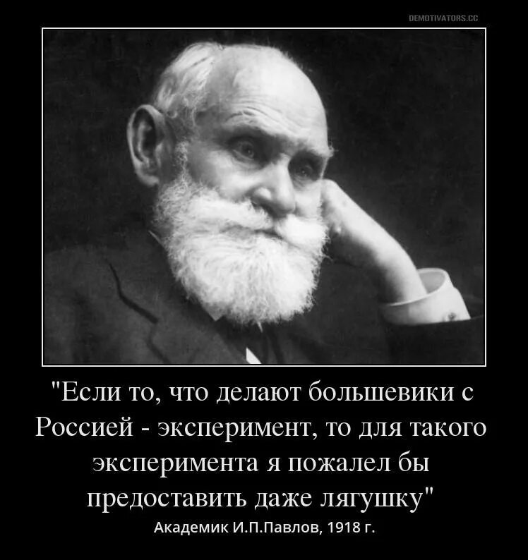 Павлов. Академик павлов россия