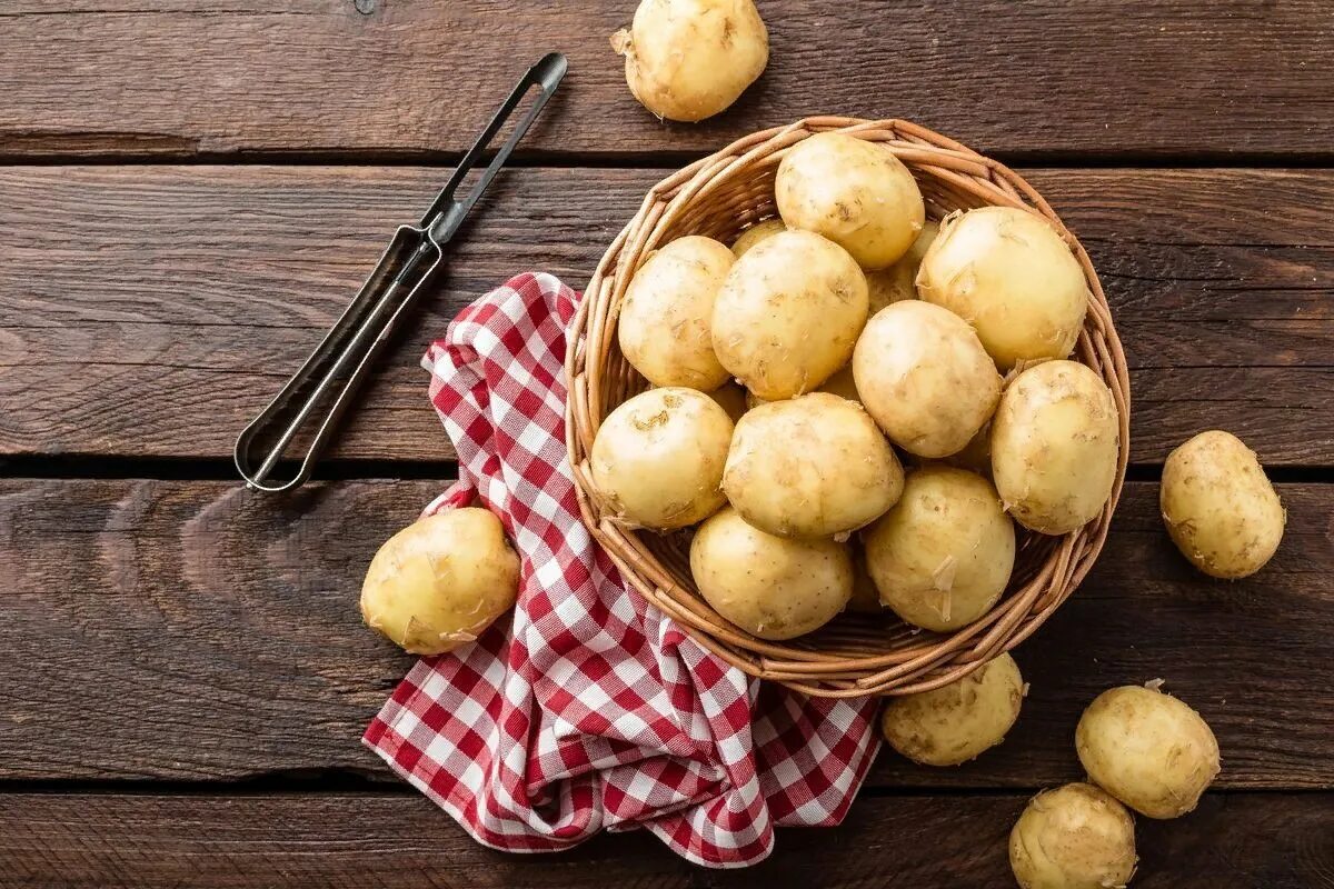 Картофель. Картофель красивый. Картофель на столе. Фото картошки. Что потребляют в пищу у картофеля