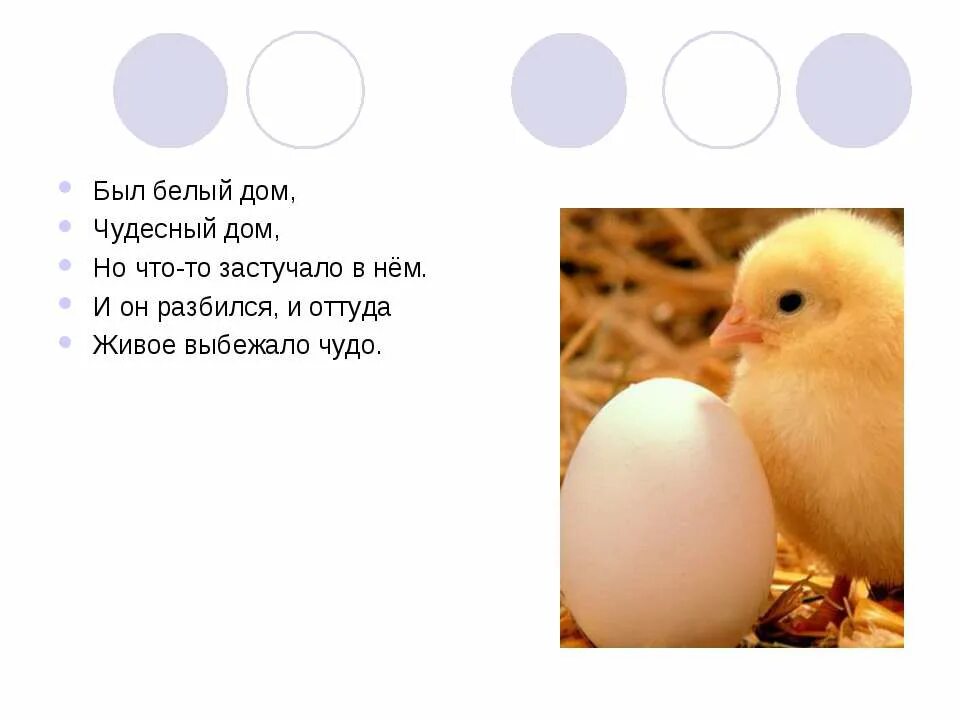 Отгадай загадку был белый дом чудесный дом. Был белый дом чудесный дом и что-то застучало в нём. был белый дом чудесный дом. загадка был белый дом чудесный дом но что-то застучало в нем. вот белый дом чудесный дом и вдруг оттуда живое выбежало чудо.