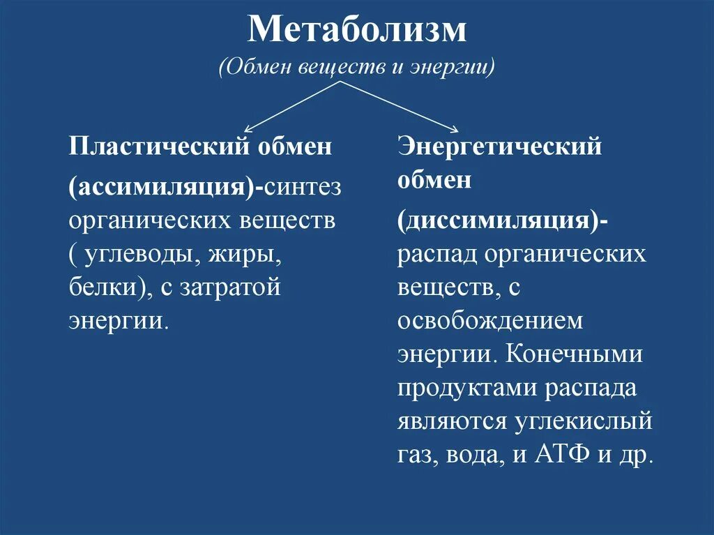 Метаболизм это простыми словами у женщин. Метаболизм. Обмен веществ ассимиляция и диссимиляция основной обмен. Обмен веществ и энергии ассимиляция и диссимиляция. Метаболиты обмена веществ.