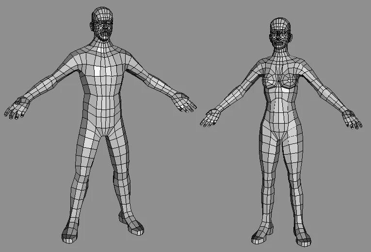 Топология референс. Топология Лоу Поли. Трехмерная модель человека. Модель человека для моделирования.