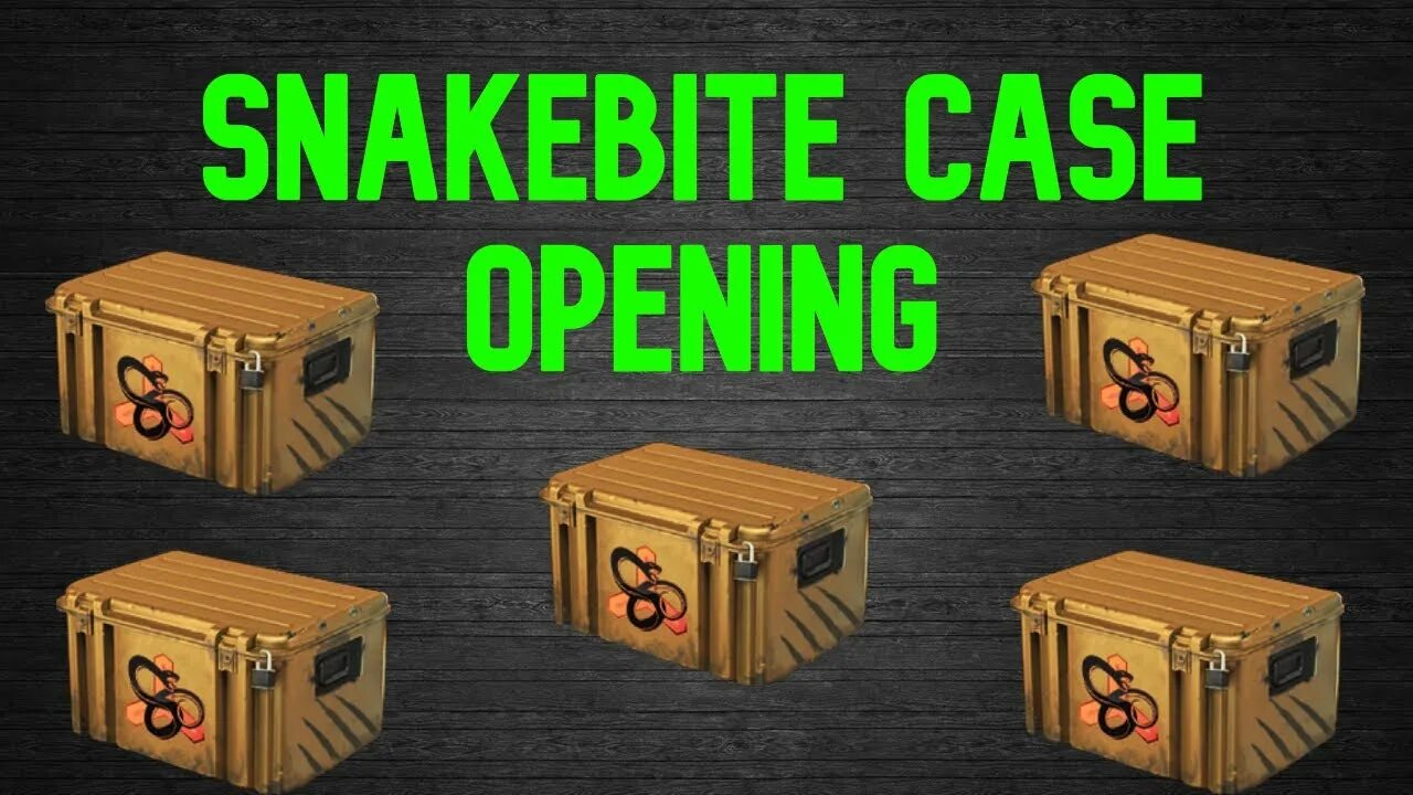 Open some cases. Snakebite case. snakebit case. snakebite case gold. chase opening.