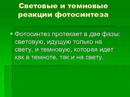 Световые реакции
