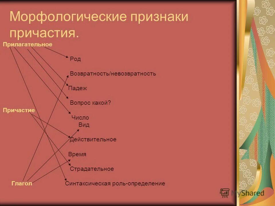 Морфологические признаки слова стоящая