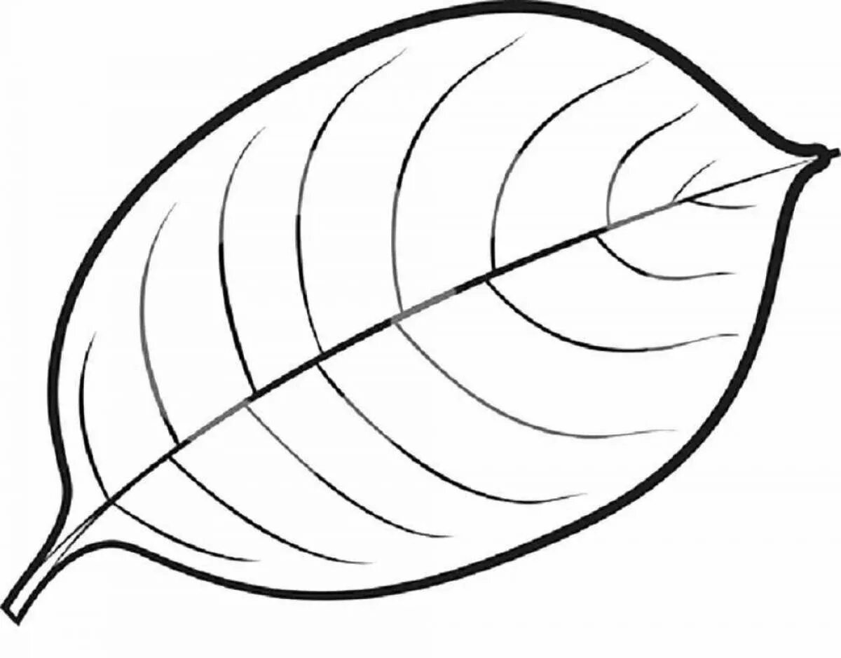 Листья раскраска. Листочки раскраска. Листья раскраска. Лист растения раскраска. Листья деревьев раскраска.