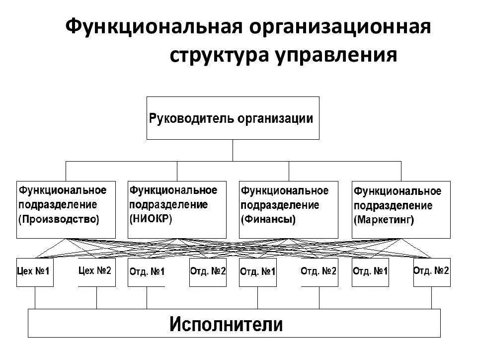 Элементы современного управления. Функциональная организационная структура предприятия схема. Функциональная организационная структура управления предприятием. Функциональная структура управления предприятием схема. Схема конкретной организационной структуры управления организации.