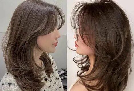 Негритудия саясаты