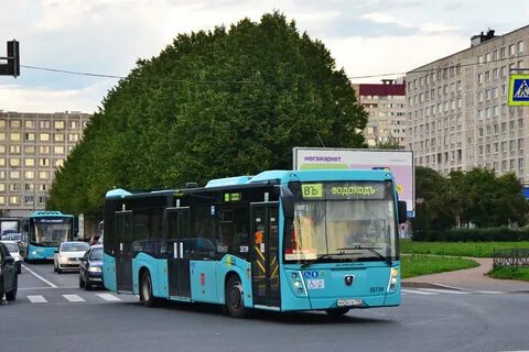 Автобус 11 спб