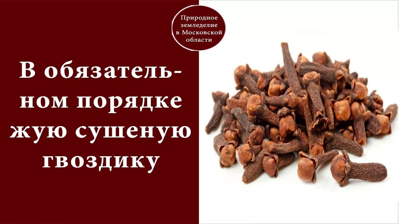 Сушеная гвоздика полезные. Гвоздика жевать. Пожевать гвоздику. Гвоздика лекарство. Гвоздика с водой польза