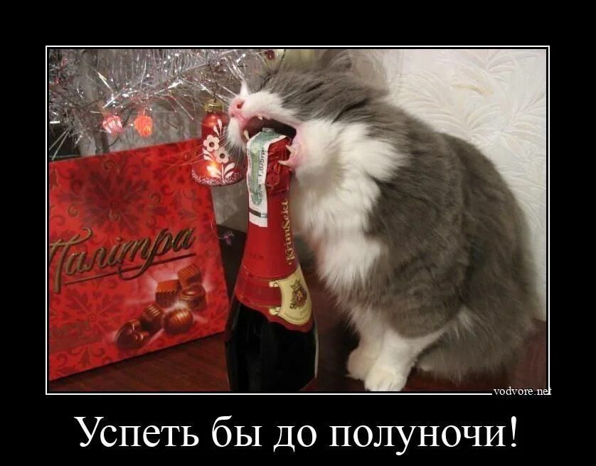 Холодно а нефиг было