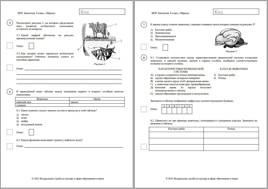 Впр по биологии 8 класс тест