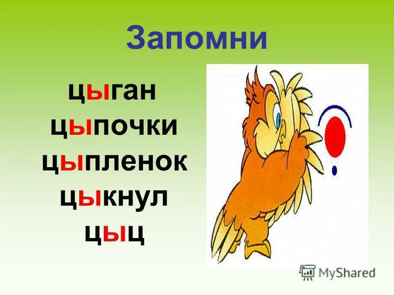 На цыпочках написание. Правописание цы и Ци. Слова с цы и Ци. Исключения Ци цы. Правописание слов с цы Ци правило.