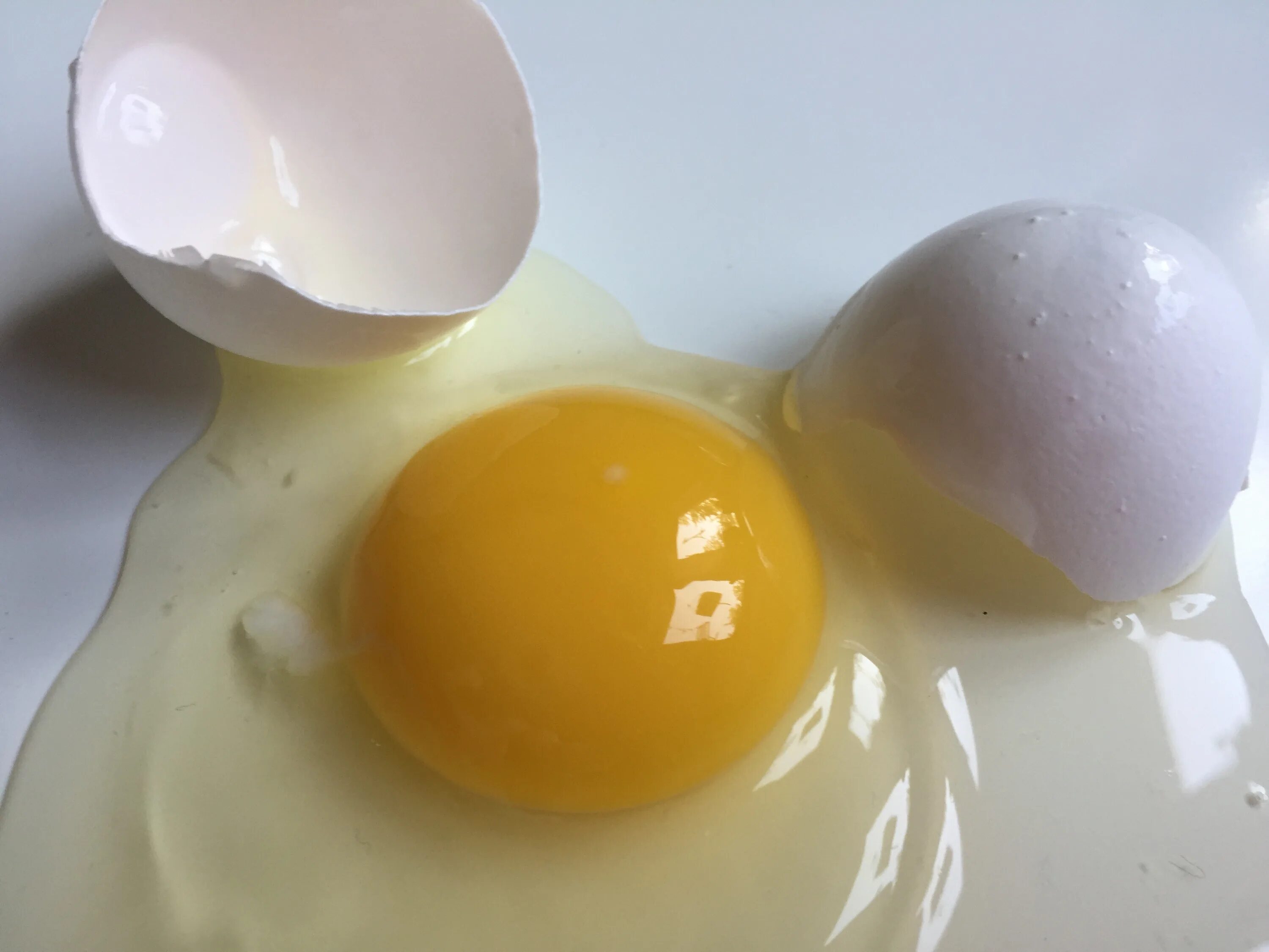 Почему яйца жидкие. Куриный белок. Яичный желток. Разбитое яйцо. Яичные белки.