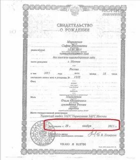Наименование органа выдавшего свидетельство