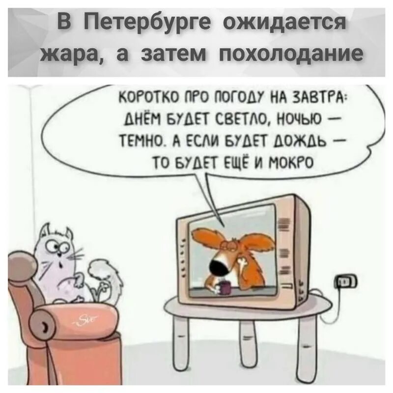 Погоде всегда будете с ним. Погоде всегда будете с ним
