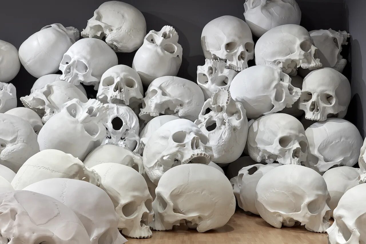 Череп несколько. 100 черепов ron mueck. ron mueck черепа.