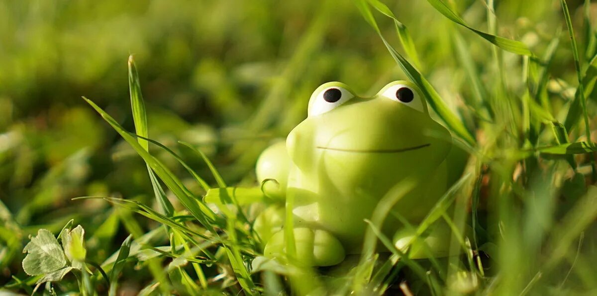 музыка детская кузнечик