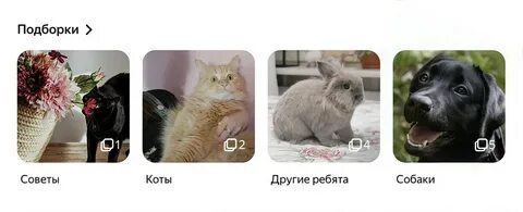 Коты на дзене