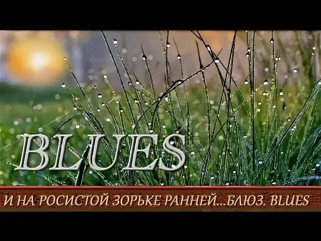 Раннее утро прохладное и росистое