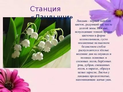 Рингтон на песню ландыши