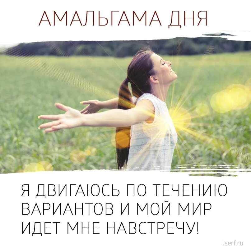 Иди мой мир. Амальгама дня трансерфинг. амальгама дня трансерфинг картинки. амальгама зеланд мой мир заботится. мой мир заботится обо мне амальгама зеланд.