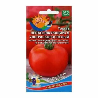 Ультраскороспелый томат описание сорта фото отзывы характеристика