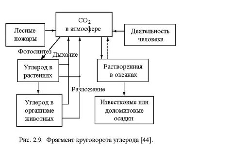 Круговорот углерода схема
