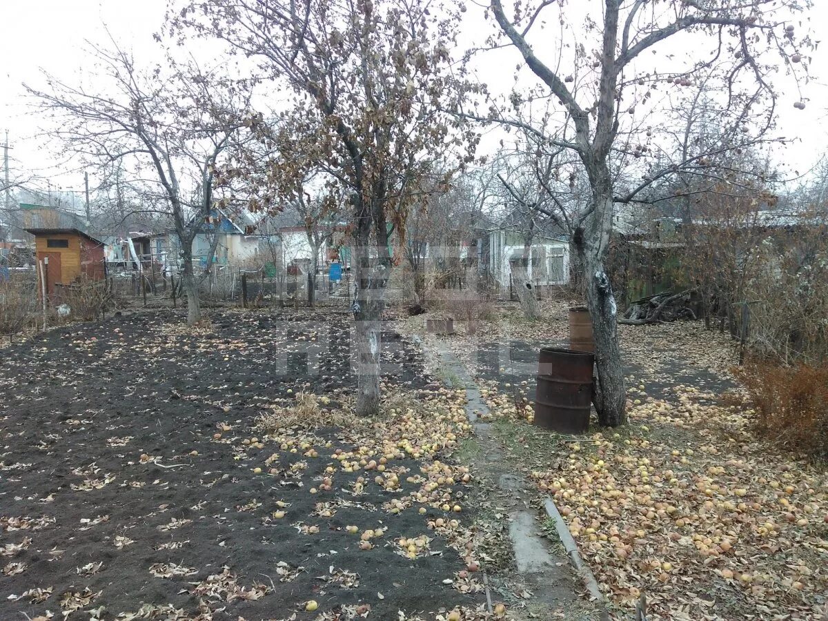 Снт сад 4. Снт янтарь челябинск. сады янтарь сатка. сад янтарь челябинск вк. сад янтарь челябинск видео.